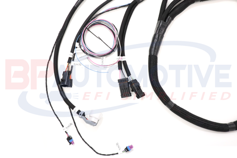 DBC Holley EFI Standalone Harness with No Transmission Wiring