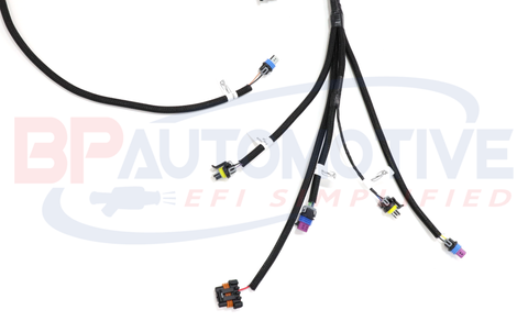 DBC Holley EFI Standalone Harness with No Transmission Wiring