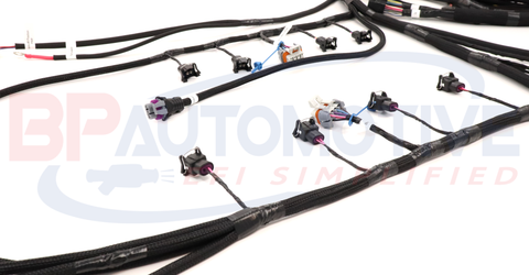 DBC Holley EFI Standalone Harness with No Transmission Wiring