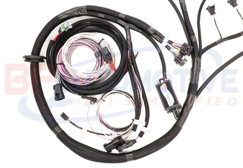 DBC Holley EFI Standalone Harness with No Transmission Wiring