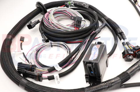 DBC Holley EFI Standalone Harness with No Transmission Wiring