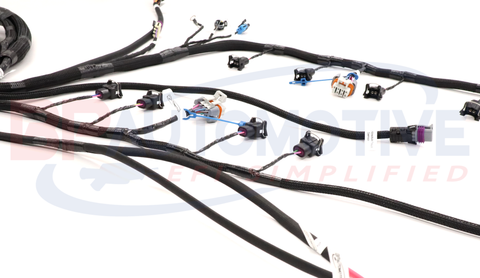 DBC Holley EFI Standalone Harness with No Transmission Wiring