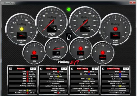 Dominator EFI ECU