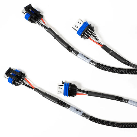 LS550 V8 Complete Harness 4