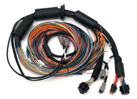 Nexus R3 Universal Wire-in Harness - 2.5m (8')