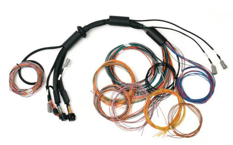 Nexus R3 Universal Wire-in Harness - 2.5m (8')