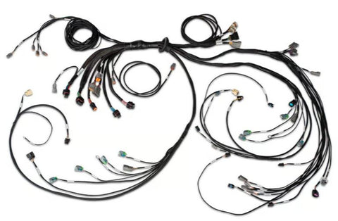 Nexus R5 LSx DBW Terminated Harness - DBW ready Injector Connector: EV6