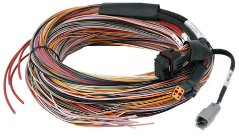 PD16 PDM + Flying Lead Harness (5M)