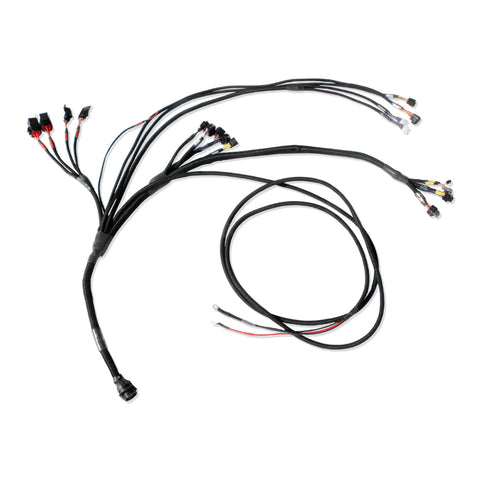 PRO600 GEN III V8 Complete Harness 2