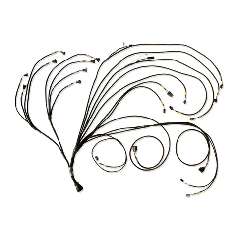 PRO600 GEN III V8 Complete Harness 3
