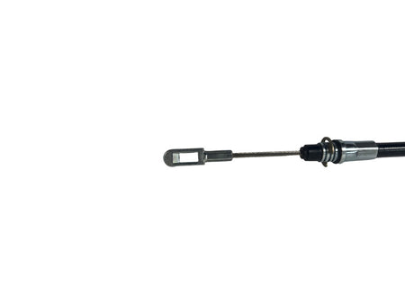 Photo - Close Up