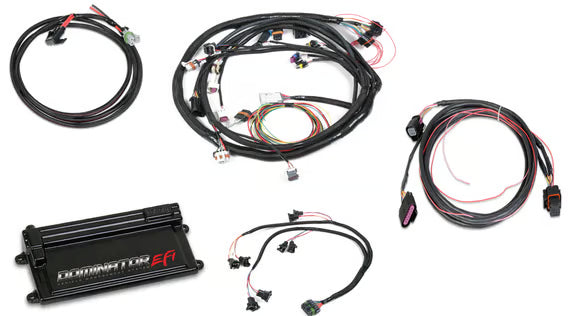 Dominator EFI Kit - LS2 Main Harness w/  DBW with EV1 Injector Harnesses