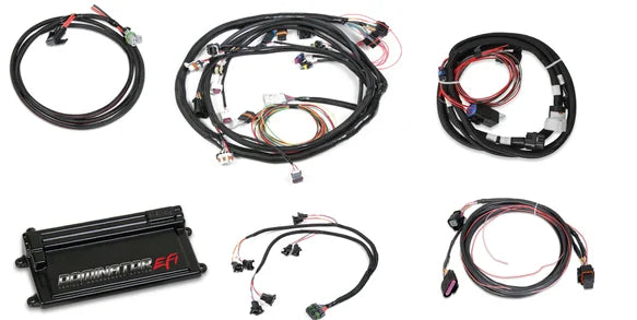 Dominator EFI Kit - LS2 Main Harness w/ Trans and DBW with EV1 Injector Harness