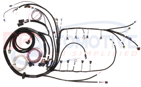 DBC Holley EFI Standalone Harness with 4L60e and 4L80e Transmission