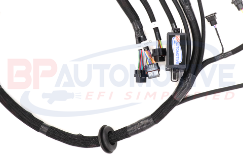 DBC Holley EFI Standalone Harness with 4L60e and 4L80e Transmission