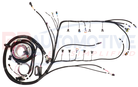 DBC Holley EFI Standalone Harness with No Transmission Wiring