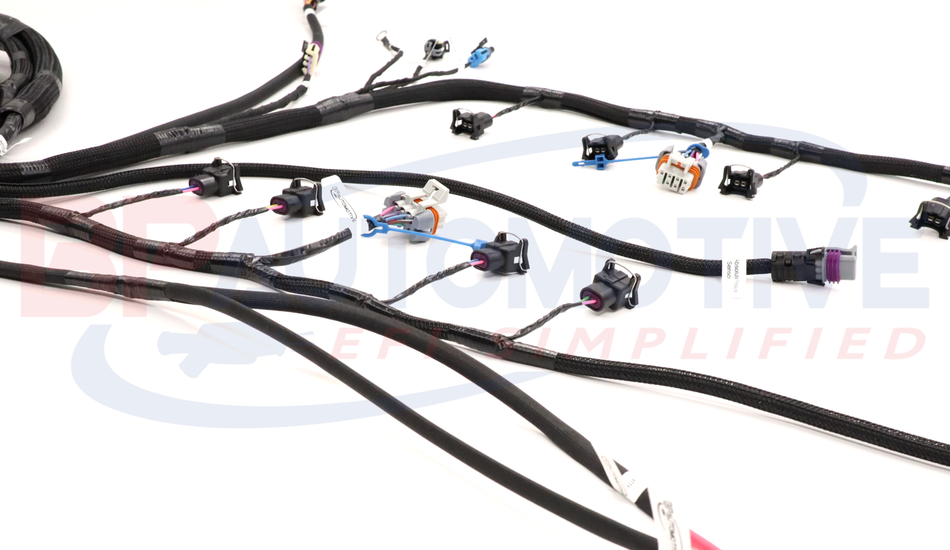 DBC Holley EFI Standalone Harness with No Transmission Wiring