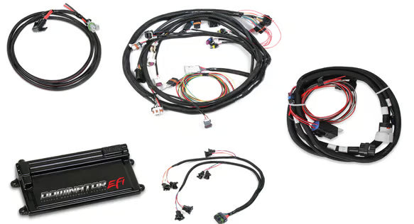 Dominator EFI Kit - LS2 Main Harness w/ Trans Control with EV1 Injector Harness