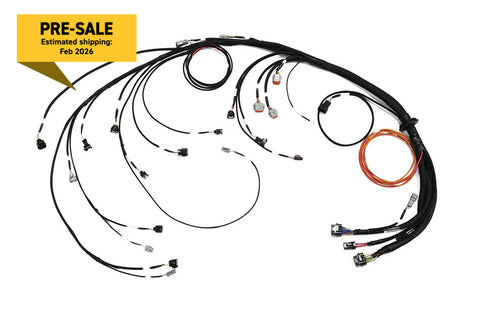 Nexus Rebel JZ - Main Terminated Harness