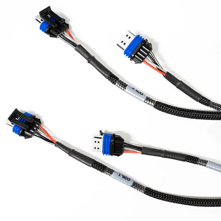 LS550 V8 Complete Harness 4