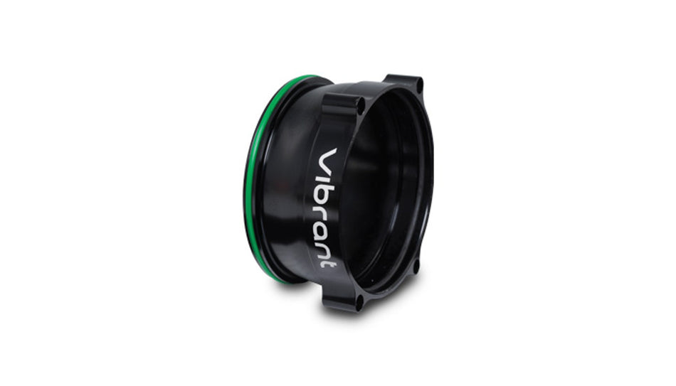 LS Throttle Body to HD Adapter