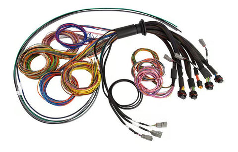 NEXUS R5 Universal Wire-In harness