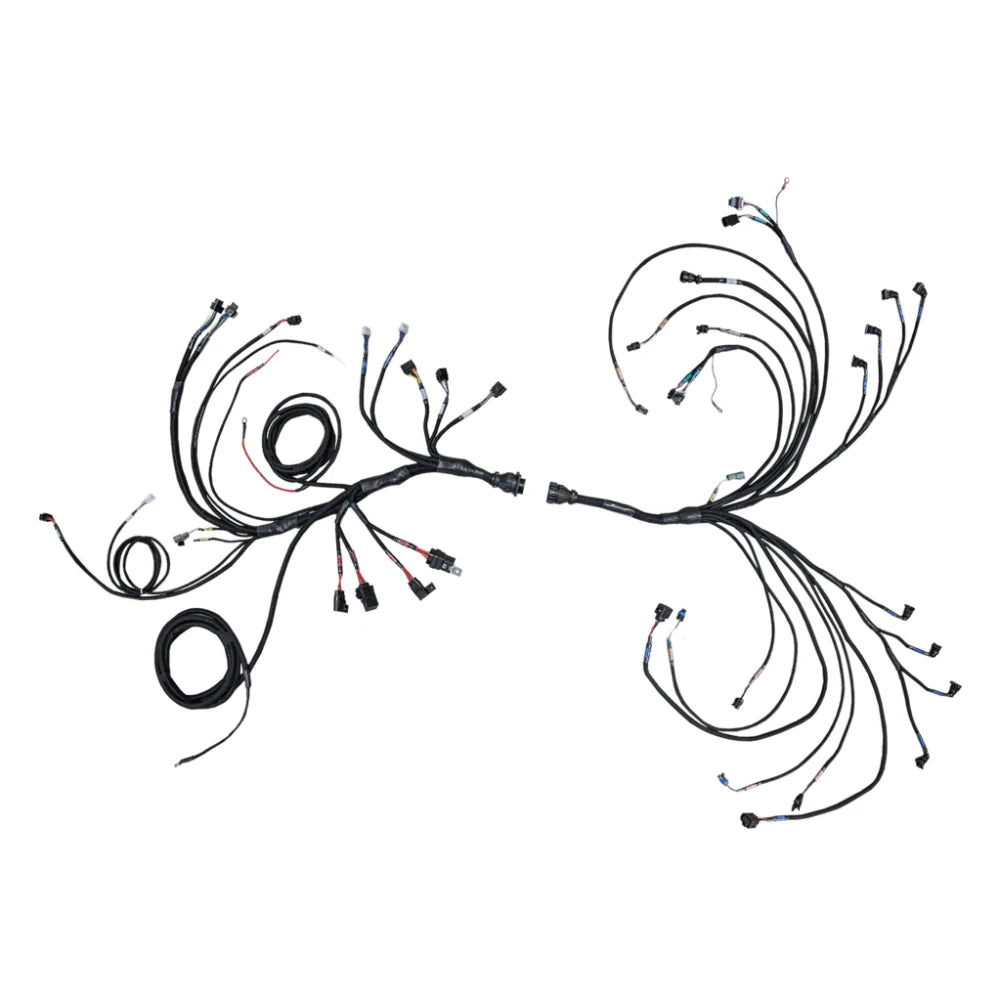 PRO550 GEN II V8 Complete Harness 1