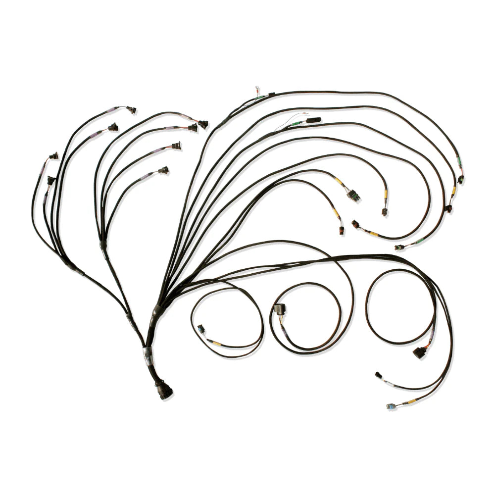 PRO600 GEN III V8 Complete Harness 3