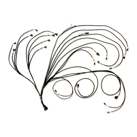 PRO600 GEN III V8 Complete Harness 3